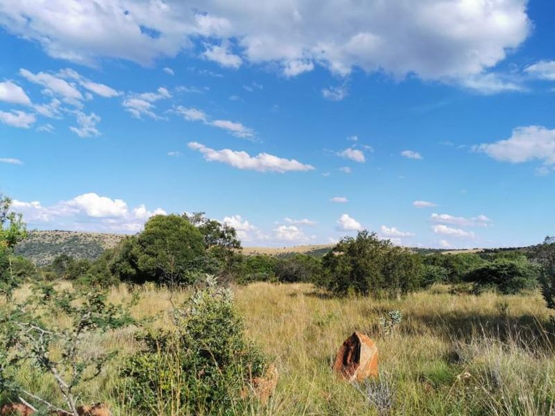 Exceptional scenery full title serviced stands on Game Farm!! - Photo 3