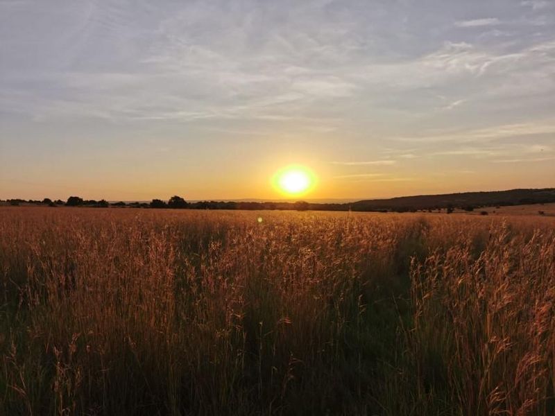 Exceptional scenery full title serviced stands on Game Farm!! - Photo 10