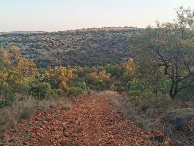 Exceptional scenery full title serviced stands on Game Farm!! - Photo 9