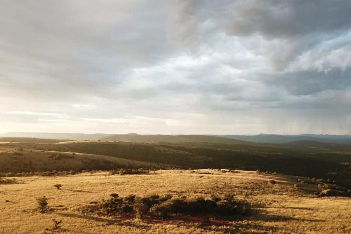 Exceptional scenery full title serviced stands on Game Farm!! - Photo 4