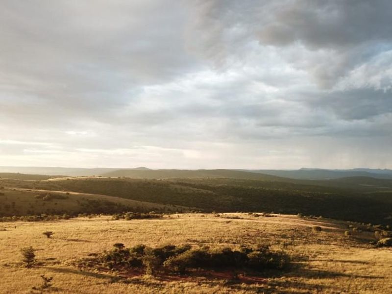 Exceptional scenery full title serviced stands on Game Farm!! - Photo 4