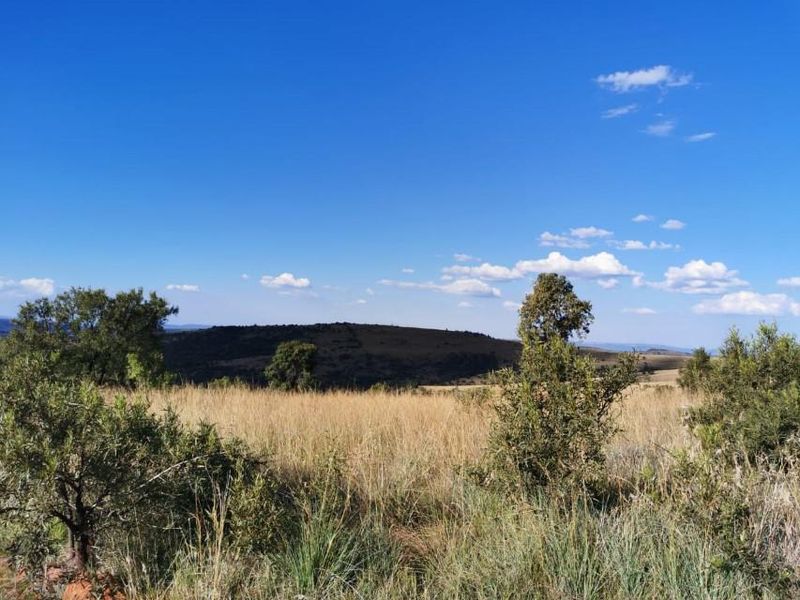 Exceptional scenery full title serviced stands on Game Farm!! - Photo 7