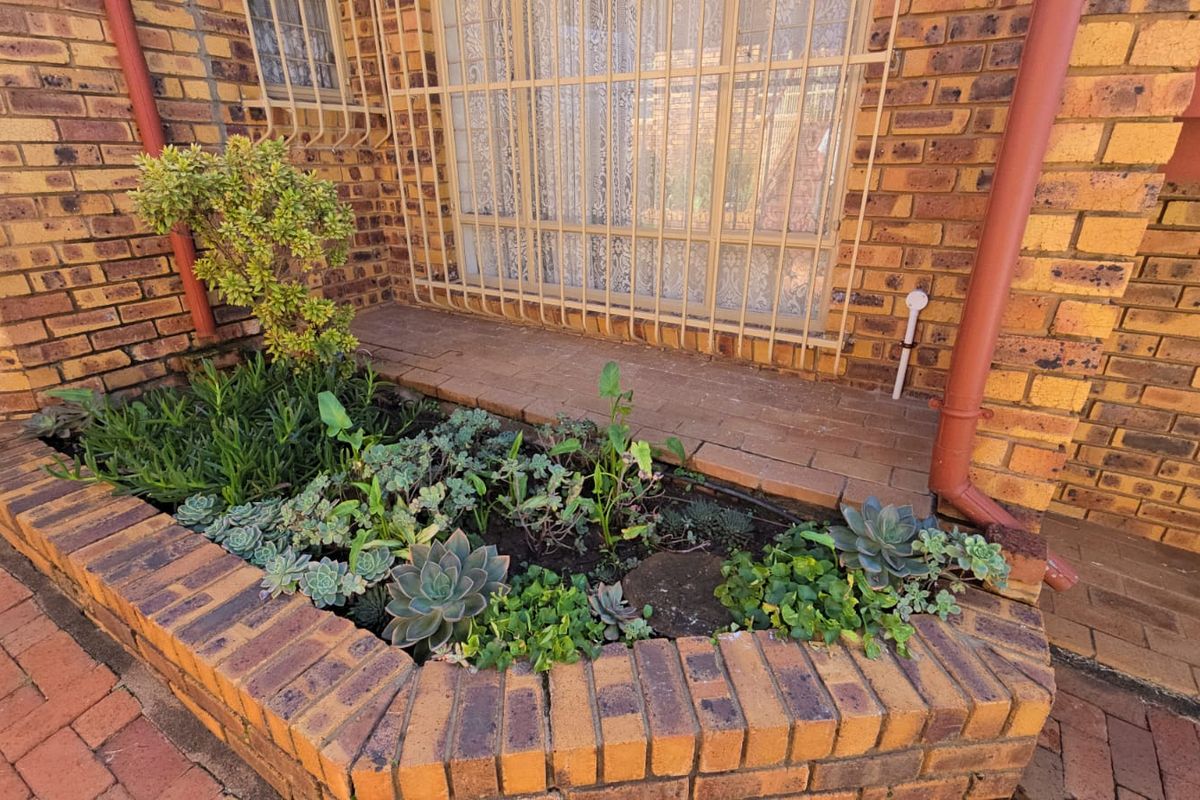 A brick-built garden planter bed situated against the exterior wall of the townhouse, featuring established succulent plantings and metal security window bars.