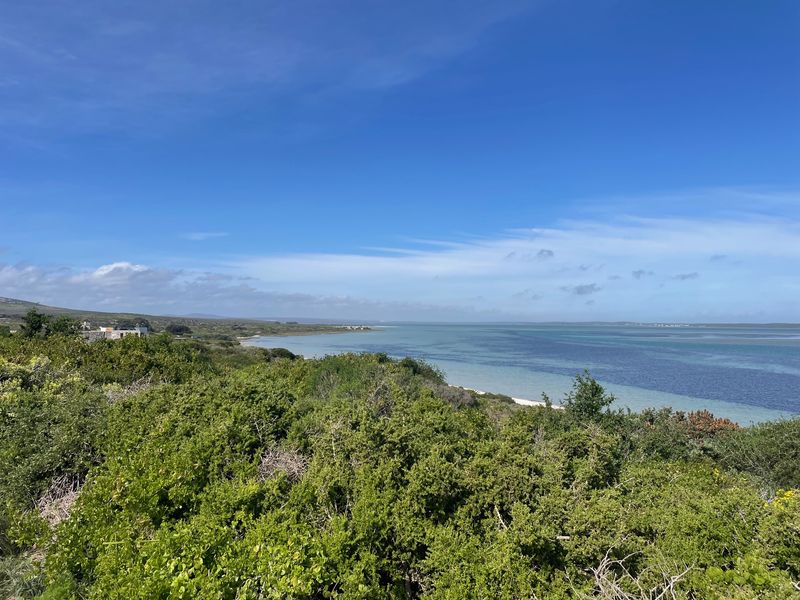 A scenic view overlooking the coastal landscape, featuring lush native vegetation and expansive water views.