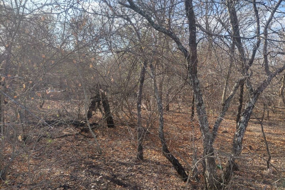 Stand for Sale in Marloth Park – Bordering Parkland - Photo 2