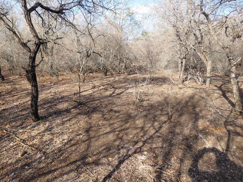 Stand for Sale in Marloth Park – Bordering Parkland - Photo 6