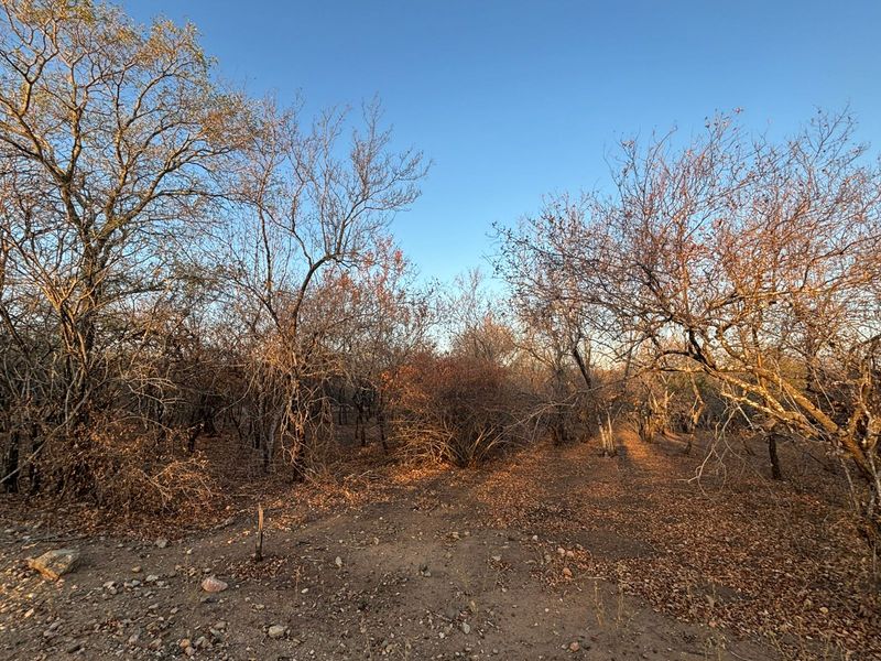 Vacant Corner Stand in Marloth Park - Photo 2