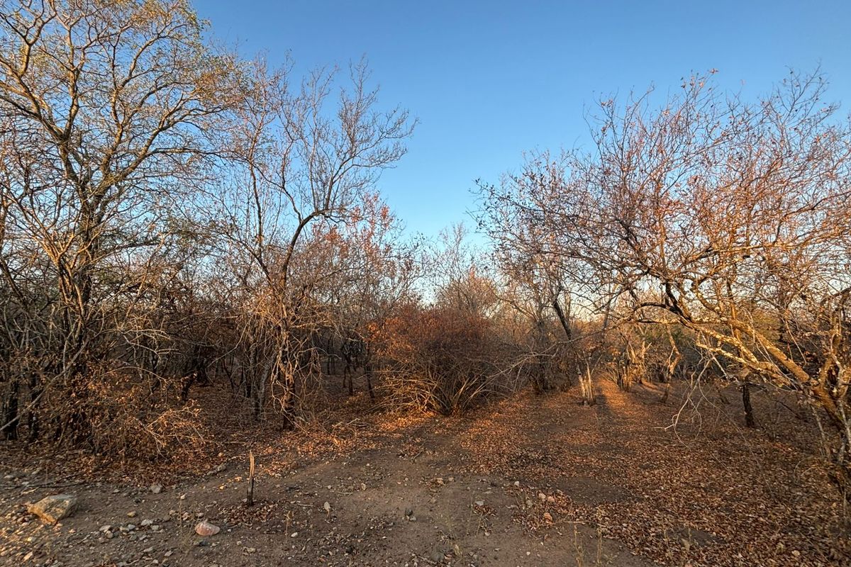 Vacant Corner Stand in Marloth Park - Photo 2
