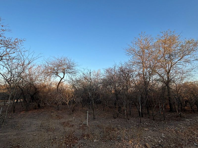 Vacant Corner Stand in Marloth Park - Photo 5