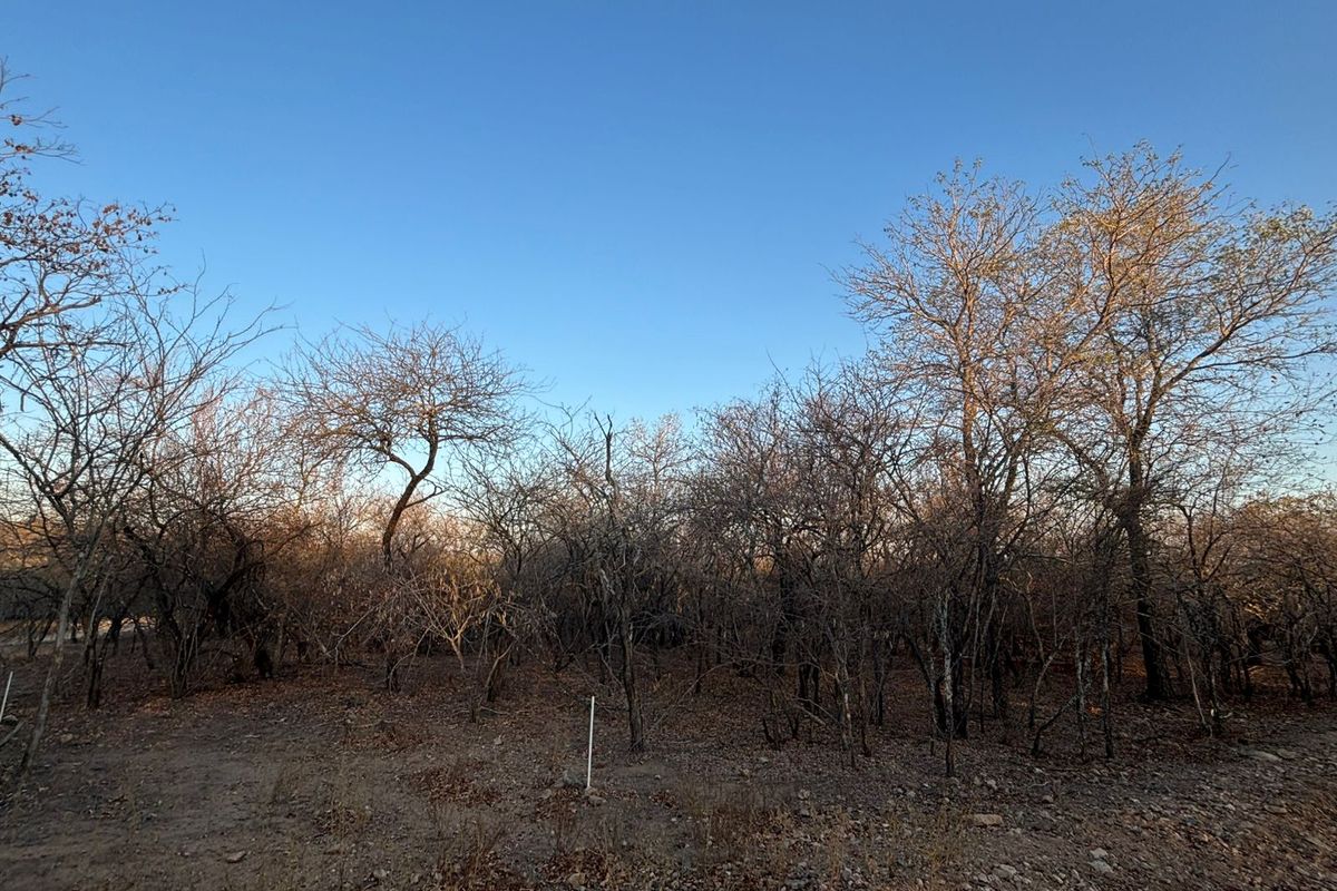 Vacant Corner Stand in Marloth Park - Photo 5