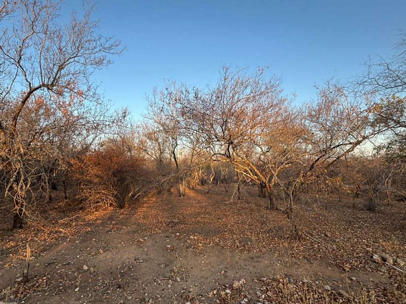 Vacant Corner Stand in Marloth Park - Photo 3