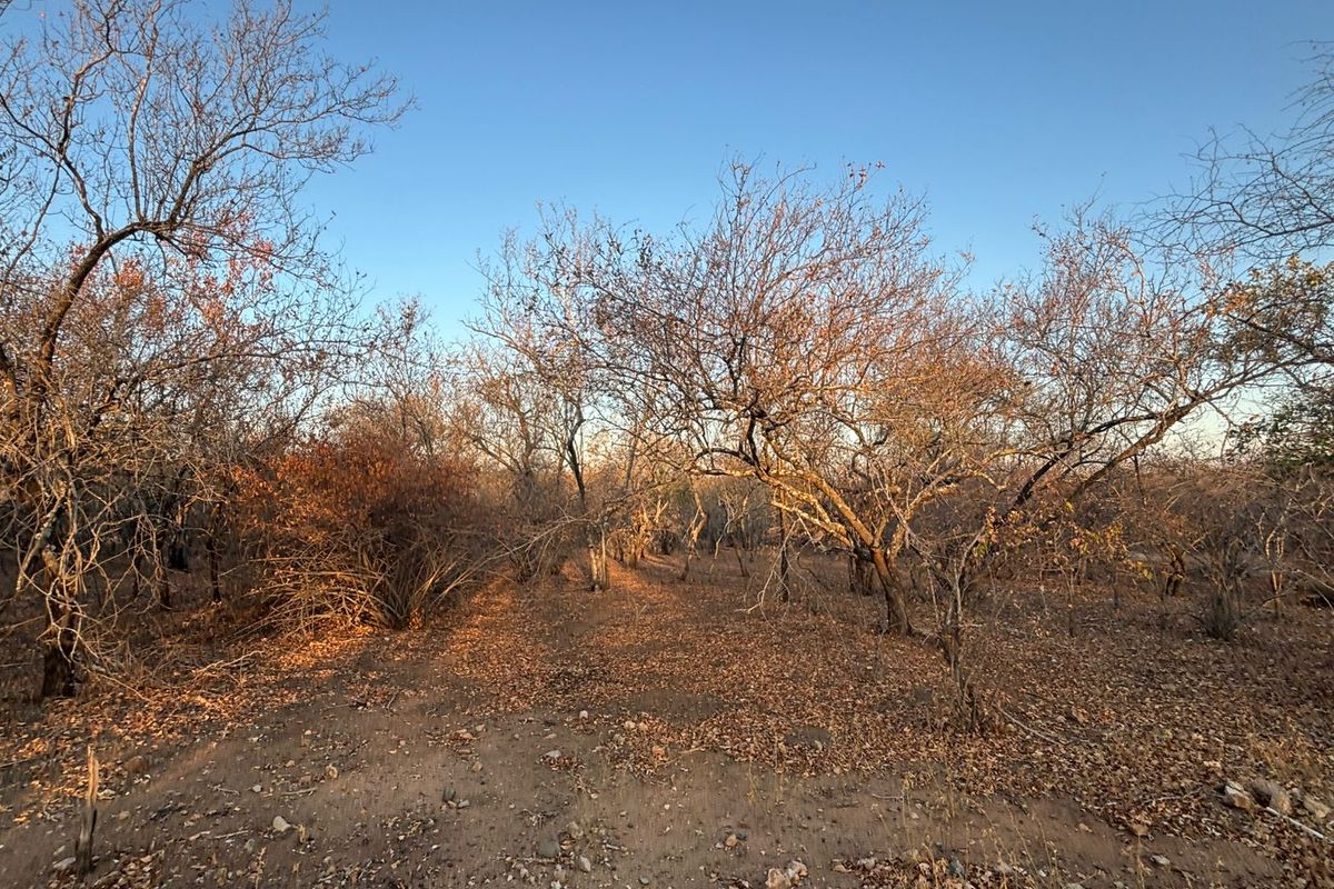 Vacant Corner Stand in Marloth Park - Photo 3