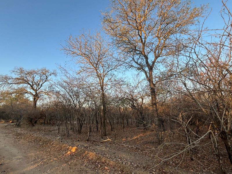 Vacant Corner Stand in Marloth Park - Photo 4