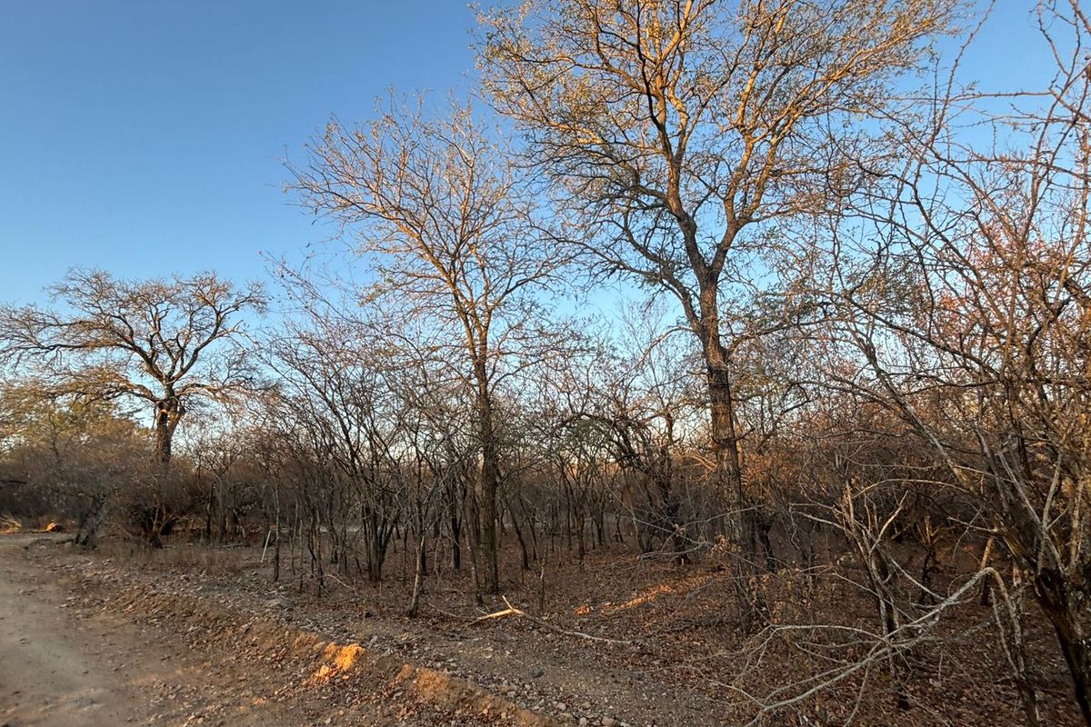 Vacant Corner Stand in Marloth Park - Photo 4
