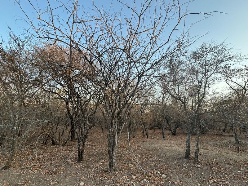 Vacant Corner Stand in Marloth Park - Photo 8