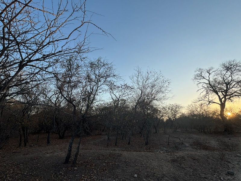 Vacant Corner Stand in Marloth Park - Photo 7