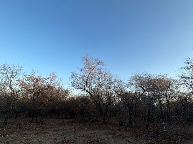 Vacant Corner Stand in Marloth Park - Photo 6