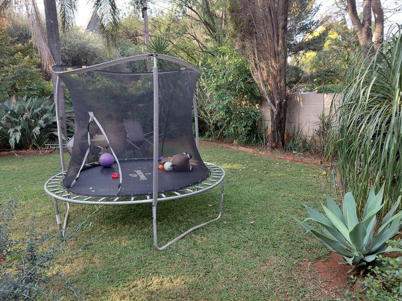 A private residential garden featuring established trees, shrubs, and a perimeter boundary wall.