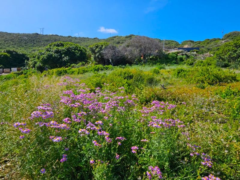 Build Your Dream Home in Jongensfontein - Photo 2