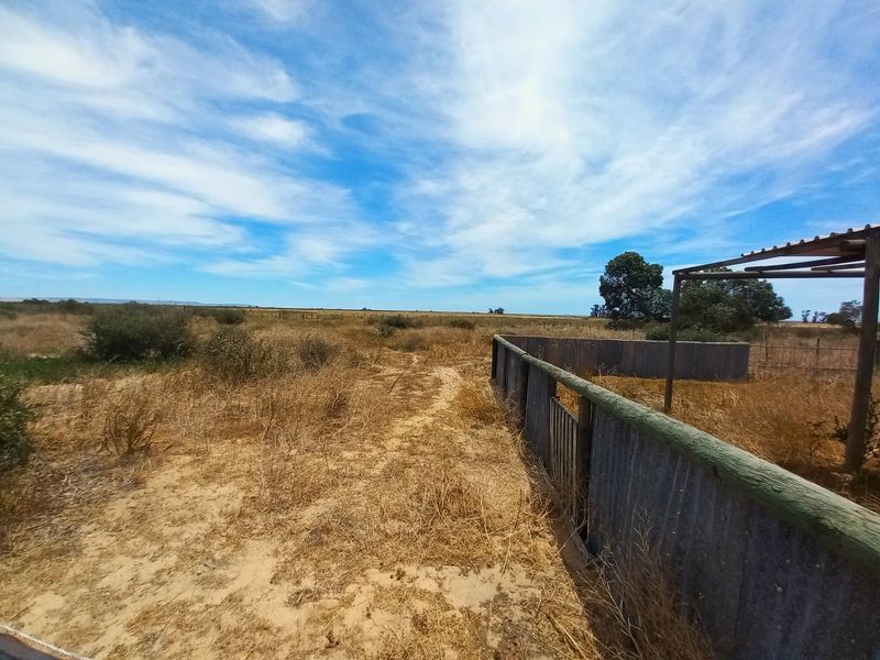 Dream Smallholding for Sale – Velddrif Area - Photo 8