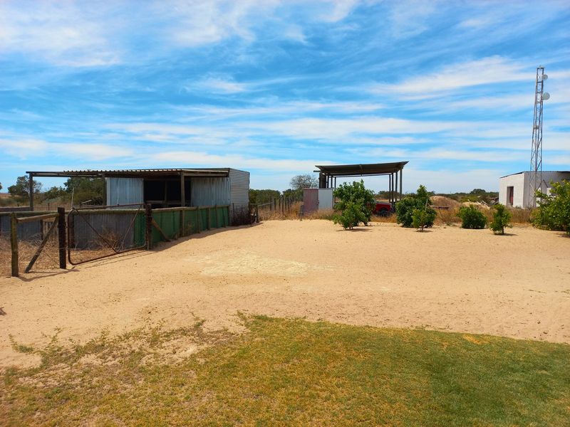Dream Smallholding for Sale – Velddrif Area - Photo 10