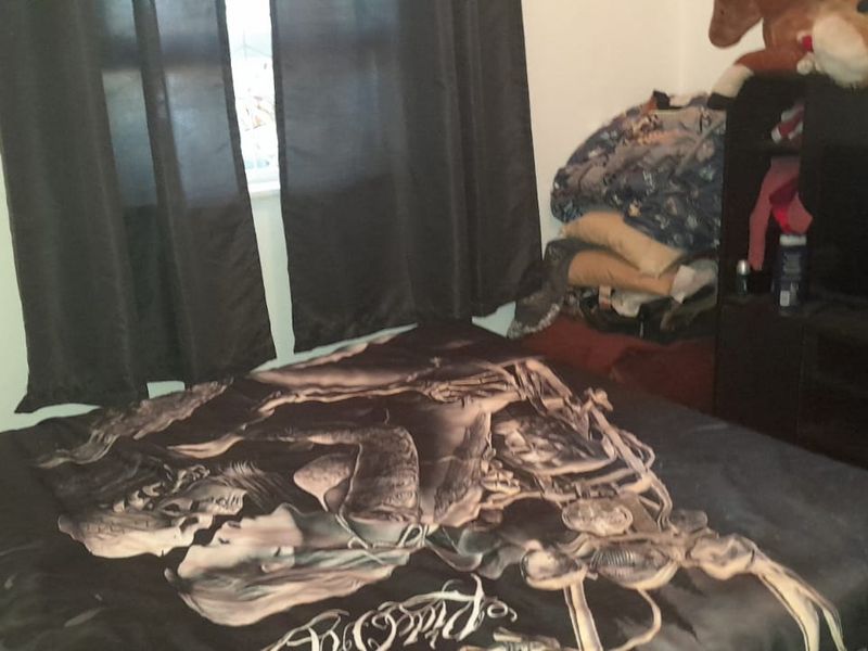 Karoo Style Home with Lovely Succulent Garden and Pond - Photo 5