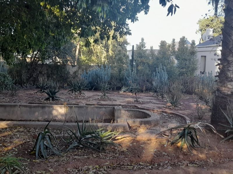 Karoo Style Home with Lovely Succulent Garden and Pond - Photo 9