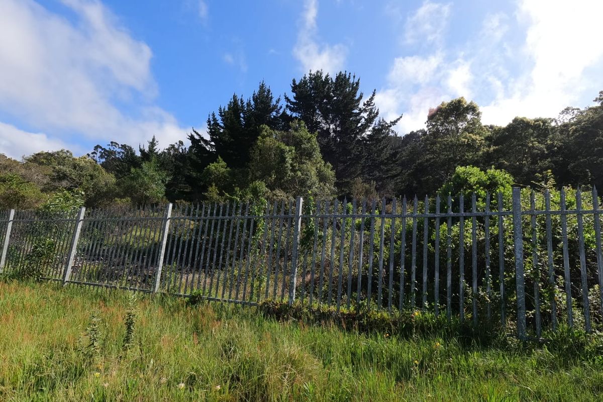 Central Sedgefield Vacant Land – Your Gateway to Tranquil Coastal Living - Photo 2