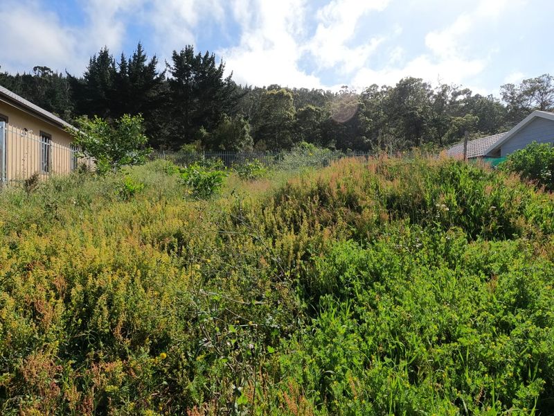 Central Sedgefield Vacant Land – Your Gateway to Tranquil Coastal Living - Photo 1
