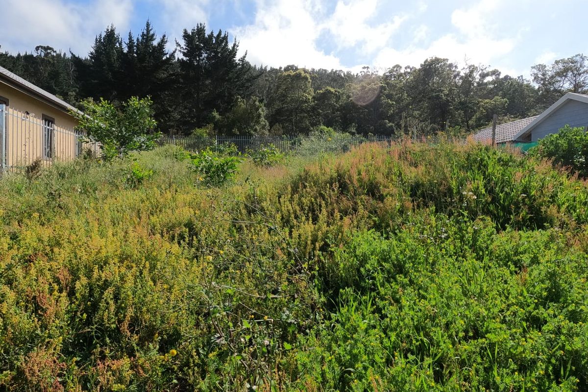 A view of the residential vacant land featuring overgrown vegetation and perimeter fencing, set against a backdrop of mature trees.