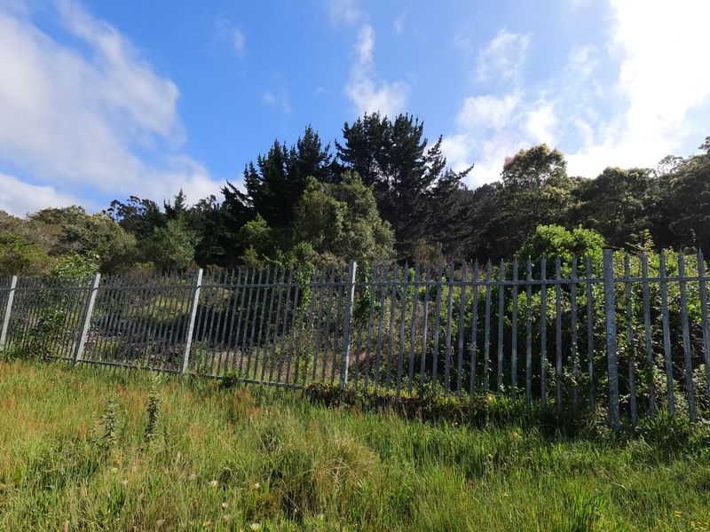A view of a sloped residential plot secured with steel palisade fencing, featuring established trees and natural vegetation.