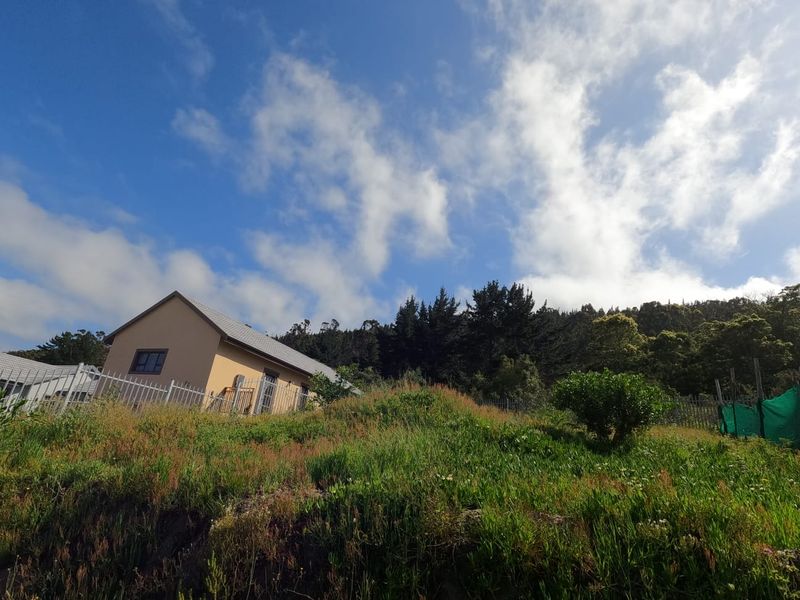 View of the rear elevation of the residential dwelling set against a sloped, grassy garden area with mature trees in the background.