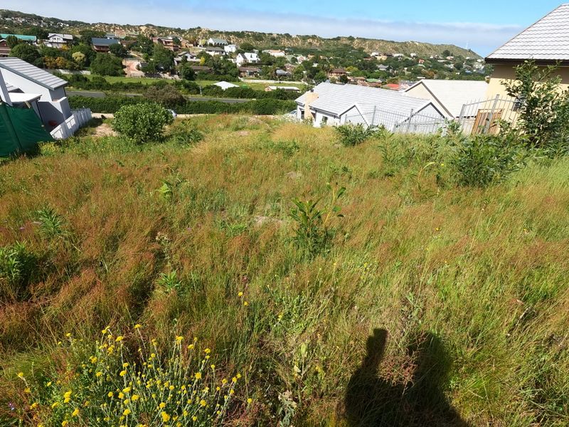 A sloped, undeveloped residential plot featuring overgrown grass and surrounding neighborhood views, offering potential for future landscaping or construction.