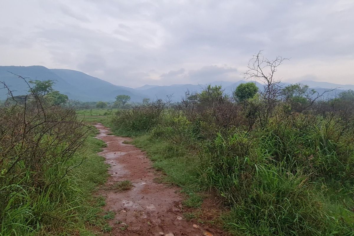 I Hectare stands From R180 000.00 For Sale in Greenstone Wildlife Estate, Barberton - Photo 4