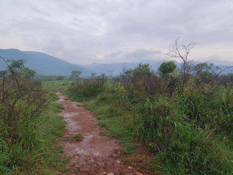 I Hectare stands From R180 000.00 For Sale in Greenstone Wildlife Estate, Barberton - Photo 4