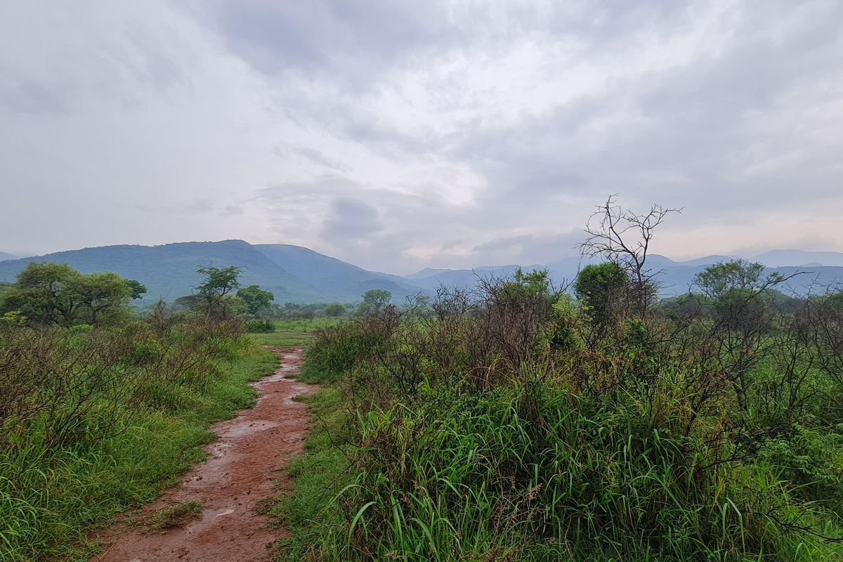 I Hectare stands From R180 000.00 For Sale in Greenstone Wildlife Estate, Barberton - Photo 3