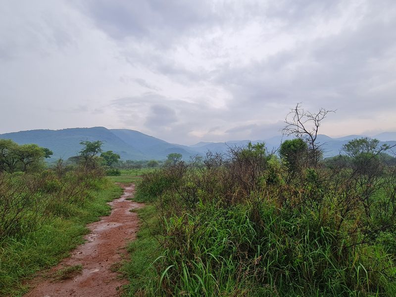 I Hectare stands From R180 000.00 For Sale in Greenstone Wildlife Estate, Barberton - Photo 3