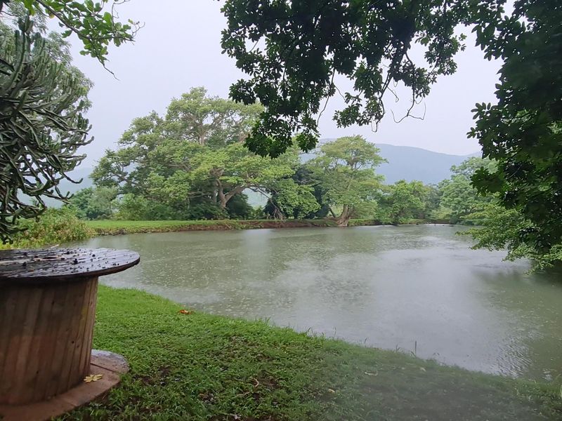 I Hectare stands From R180 000.00 For Sale in Greenstone Wildlife Estate, Barberton - Photo 8