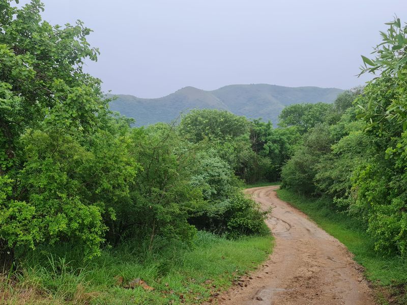 I Hectare stands From R180 000.00 For Sale in Greenstone Wildlife Estate, Barberton - Photo 6