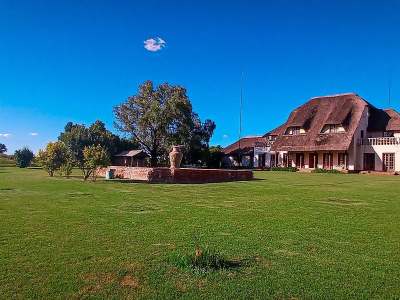 Exceptional Small Holding for Sale – Hennenman - Photo 2