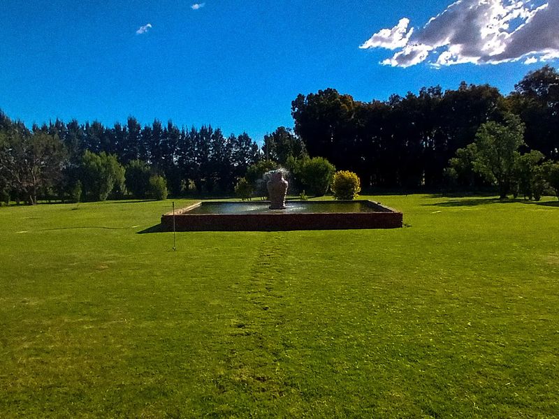 Exceptional Small Holding for Sale – Hennenman - Photo 3