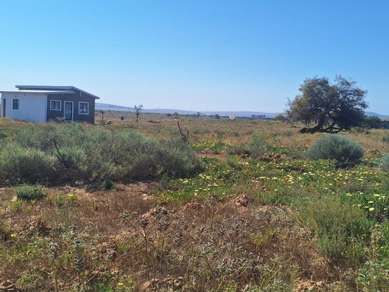 Small holding with a beginners house - Photo 6