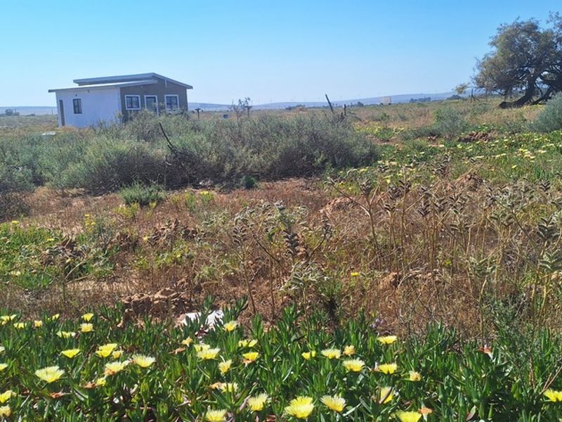 Small holding with a beginners house - Photo 1
