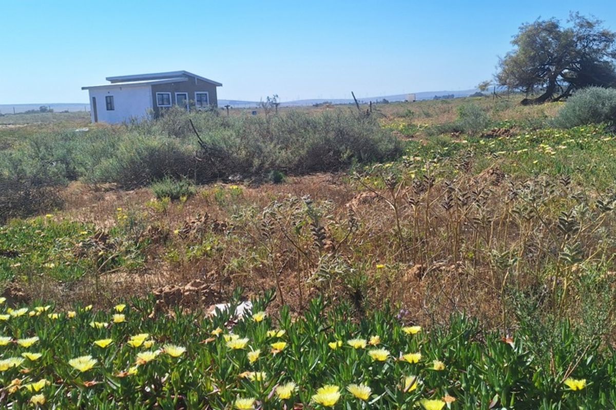 A wide-angle view of the small holding property featuring natural vegetation, open land, and a detached outbuilding structure in the distance.