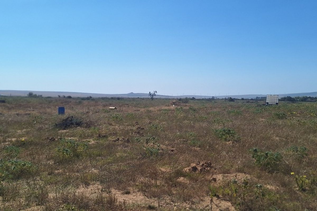 Expansive open land view showcasing the natural landscape and horizon of the small holding property.