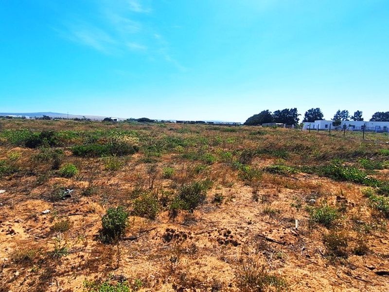 A Perfect Start to Your Smallholding Dream! - Photo 5