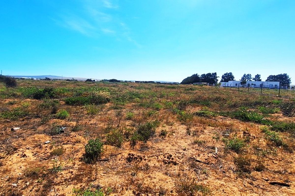 A Perfect Start to Your Smallholding Dream! - Photo 5