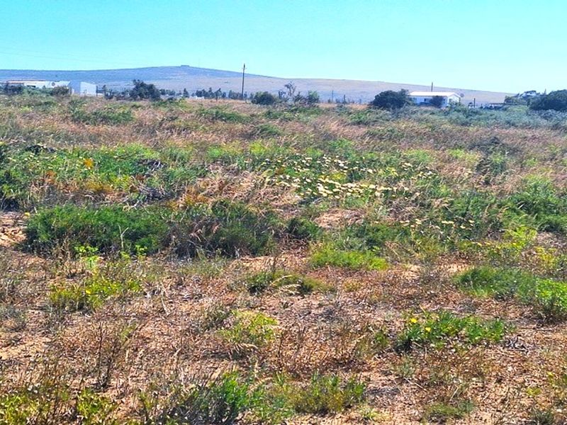 A Perfect Start to Your Smallholding Dream! - Photo 2