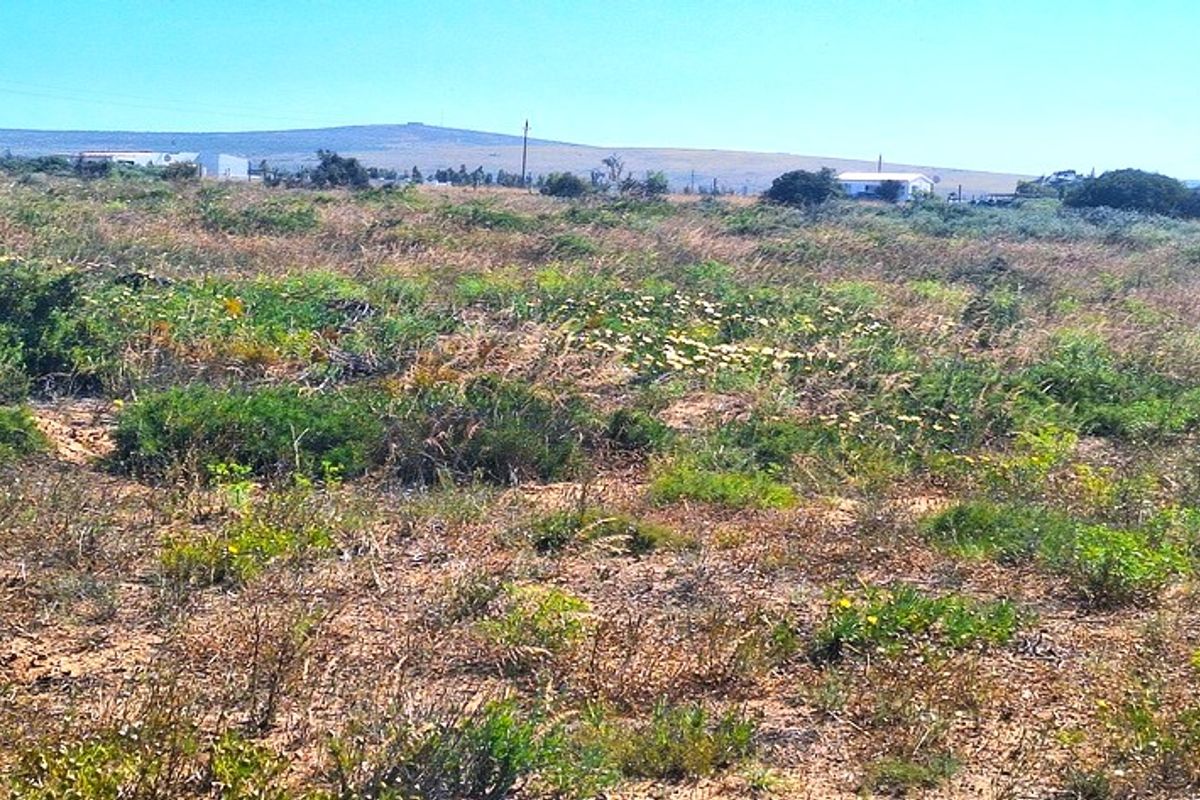 A Perfect Start to Your Smallholding Dream! - Photo 2