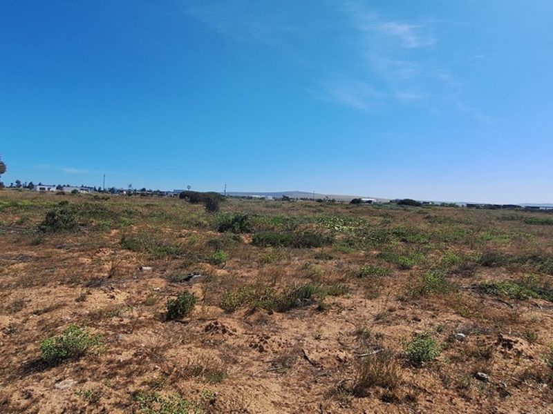 A Perfect Start to Your Smallholding Dream! - Photo 4